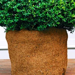 Kokos Beschermingsmat