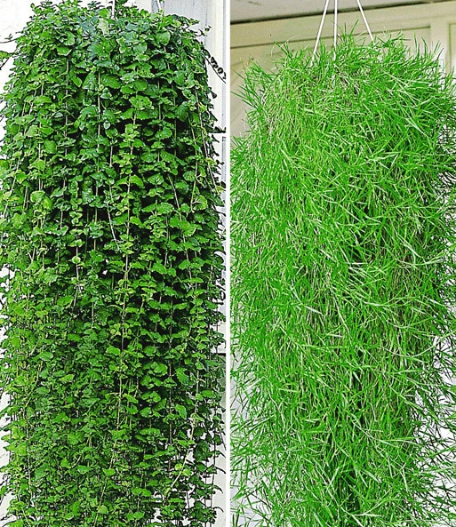 Balkon Collectie 3 Balkon Collectie