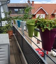 Corsica Flower Bridge® Cherry, 30 Cm ø 6 Corsica Flower Bridge® Cherry, 30 Cm ø - Afbeelding 4