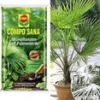COMPO® SANA® Palmpotgrond & Winterharde Palm 2 COMPO® SANA® Palmpotgrond & Winterharde Palm -Exporteren Zaaid Tuin Winkel 8936016183326