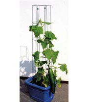 Komkommerzuil 120 Cm 4 Komkommerzuil 120 Cm - Afbeelding 2