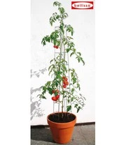 Tomatenzuil 120 Cm 4 Tomatenzuil 120 Cm - Afbeelding 2