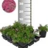 Tapijtphlox 'Rood' 25 Planten 1 Tapijtphlox 'Rood' 25 Planten -Exporteren Zaaid Tuin Winkel 8960436404254