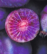 Kiwi 'Ken`s Red®' (incl. Bevruchter) 4 Kiwi 'Ken`s Red®' (incl. Bevruchter) - Afbeelding 2