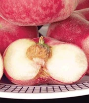 Platte Perzik 'PlatiforTWO®' 4 Platte Perzik 'PlatiforTWO®' - Afbeelding 2