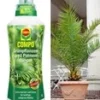 COMPO® SANA® Meststof Voor Palmen & Canarische Dadelpalm Ca. 60-70 Cm Hoog 2 COMPO® SANA® Meststof Voor Palmen & Canarische Dadelpalm Ca. 60-70 Cm Hoog -Exporteren Zaaid Tuin Winkel 8976350773278