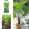 COMPO® SANA® Meststof Voor Palmen & Palmpotgrond & Winterharde Palm 1 COMPO® SANA® Meststof Voor Palmen & Palmpotgrond & Winterharde Palm -Exporteren Zaaid Tuin Winkel 8976352215070