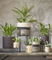 Kokos Sierpot 'Live' ø20 Cm Met Kunststof Inzetstuk 5 Kokos Sierpot 'Live' ø20 Cm Met Kunststof Inzetstuk - Afbeelding 3