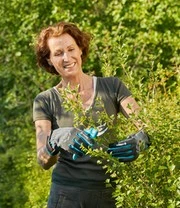 GARDENA® Handschoenen Voor Struikonderhoud Maat 9 / L 5 GARDENA® Handschoenen Voor Struikonderhoud Maat 9 / L - Afbeelding 3