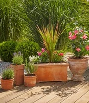 GARDENA® Micro-Drip-System Bloempotten Startset M 7 GARDENA® Micro-Drip-System Bloempotten Startset M - Afbeelding 5