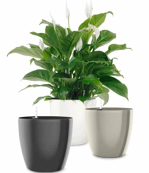 EMSA® Casa Brilliant Bloempot ø 28 Cm 'grijs' 4 EMSA® Casa Brilliant Bloempot ø 28 Cm 'grijs' - Afbeelding 2