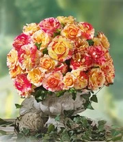 Kleine Collectie Schildersrozen® 6 Kleine Collectie Schildersrozen® - Afbeelding 4